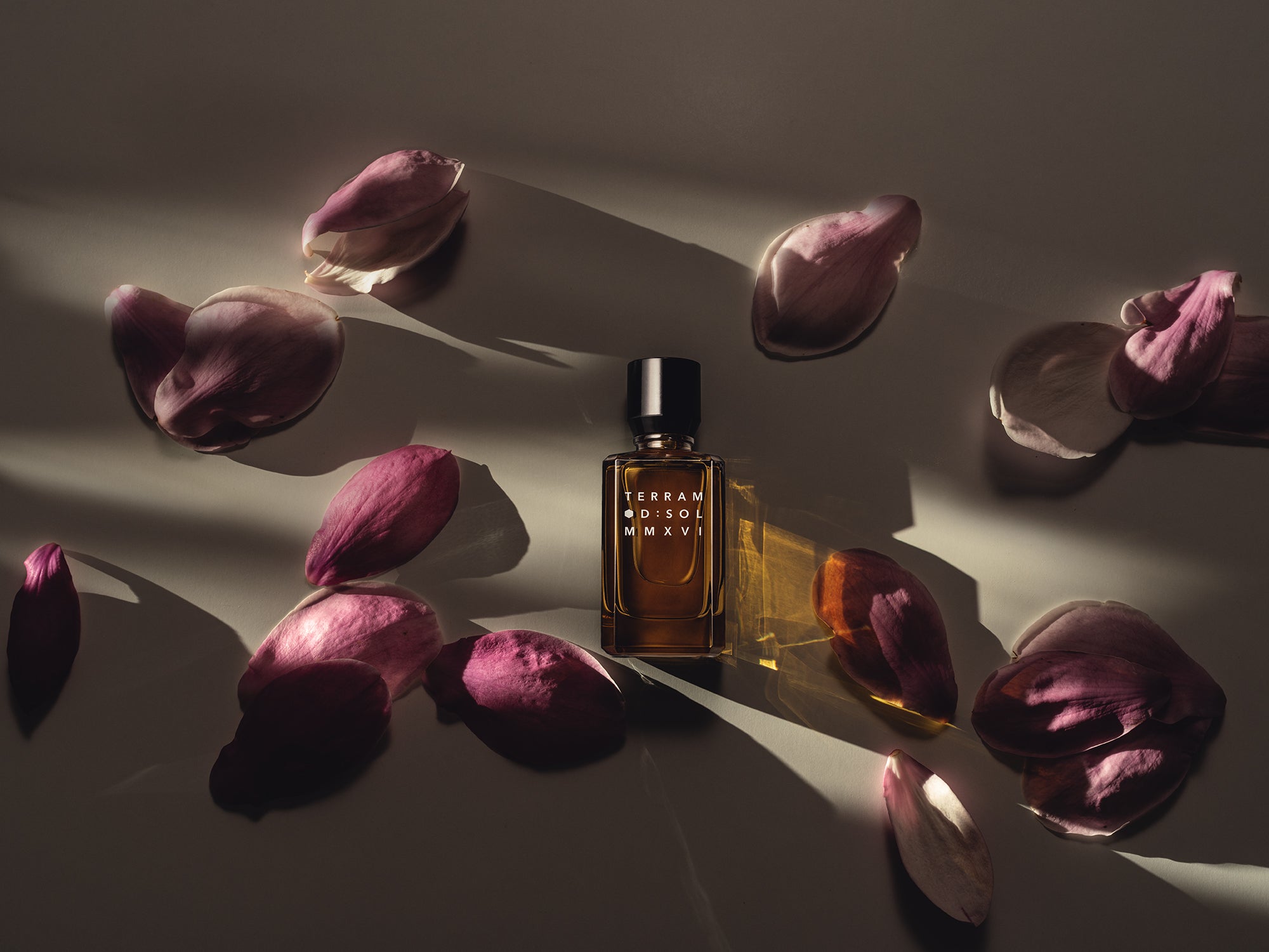 Parfumflakon Terram von D:SOL mit bernsteinfarbener Flüssigkeit und schwarzem Deckel, umgeben von rosa Magnolienblütenblättern in dramatischer Beleuchtung