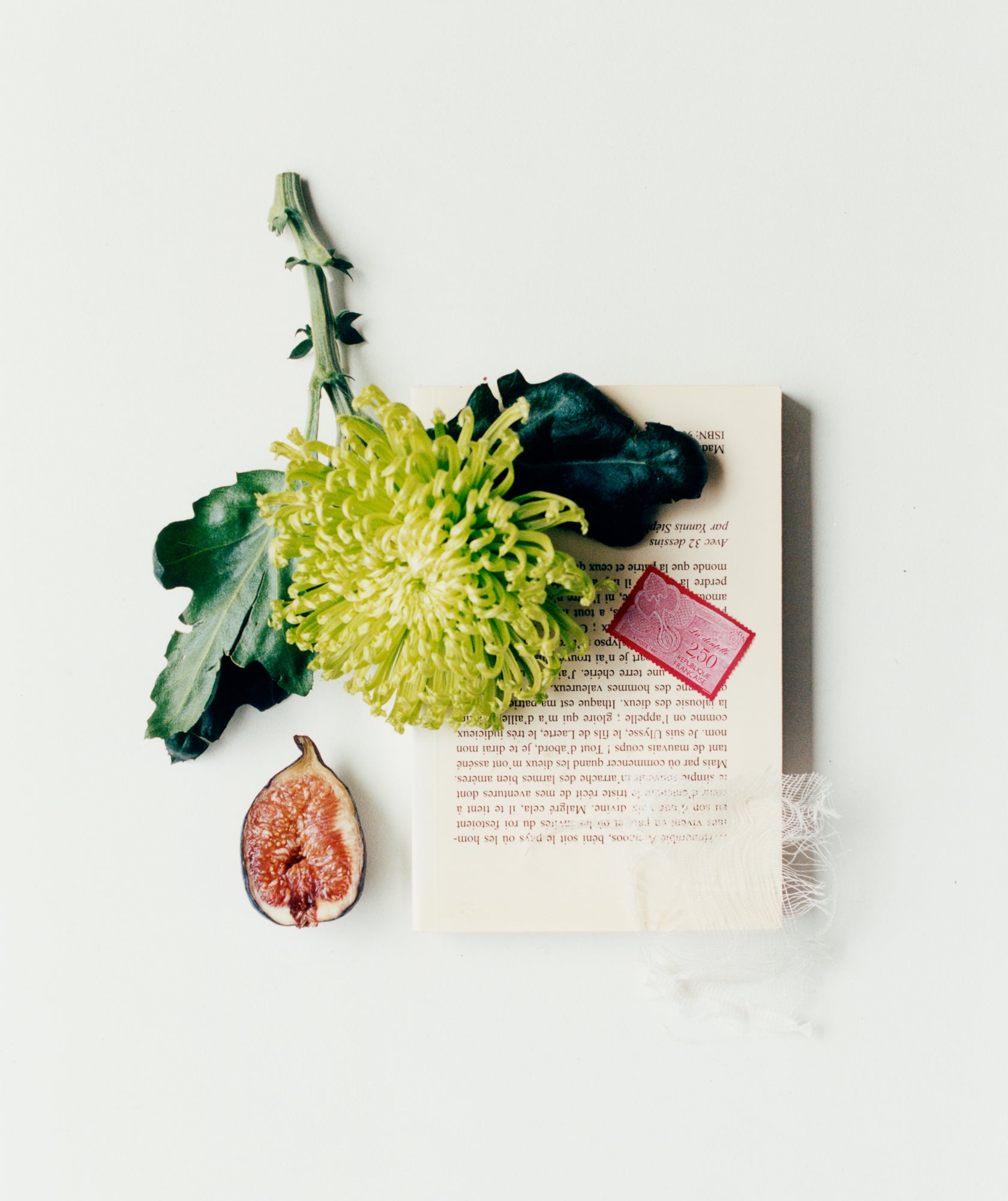 Flach liegendes Stillleben mit gelbgrüner Chrysantheme, aufgeschnittener Feige, rosafarbenem Parfümstein und bedrucktem Papier auf hellem Hintergrund