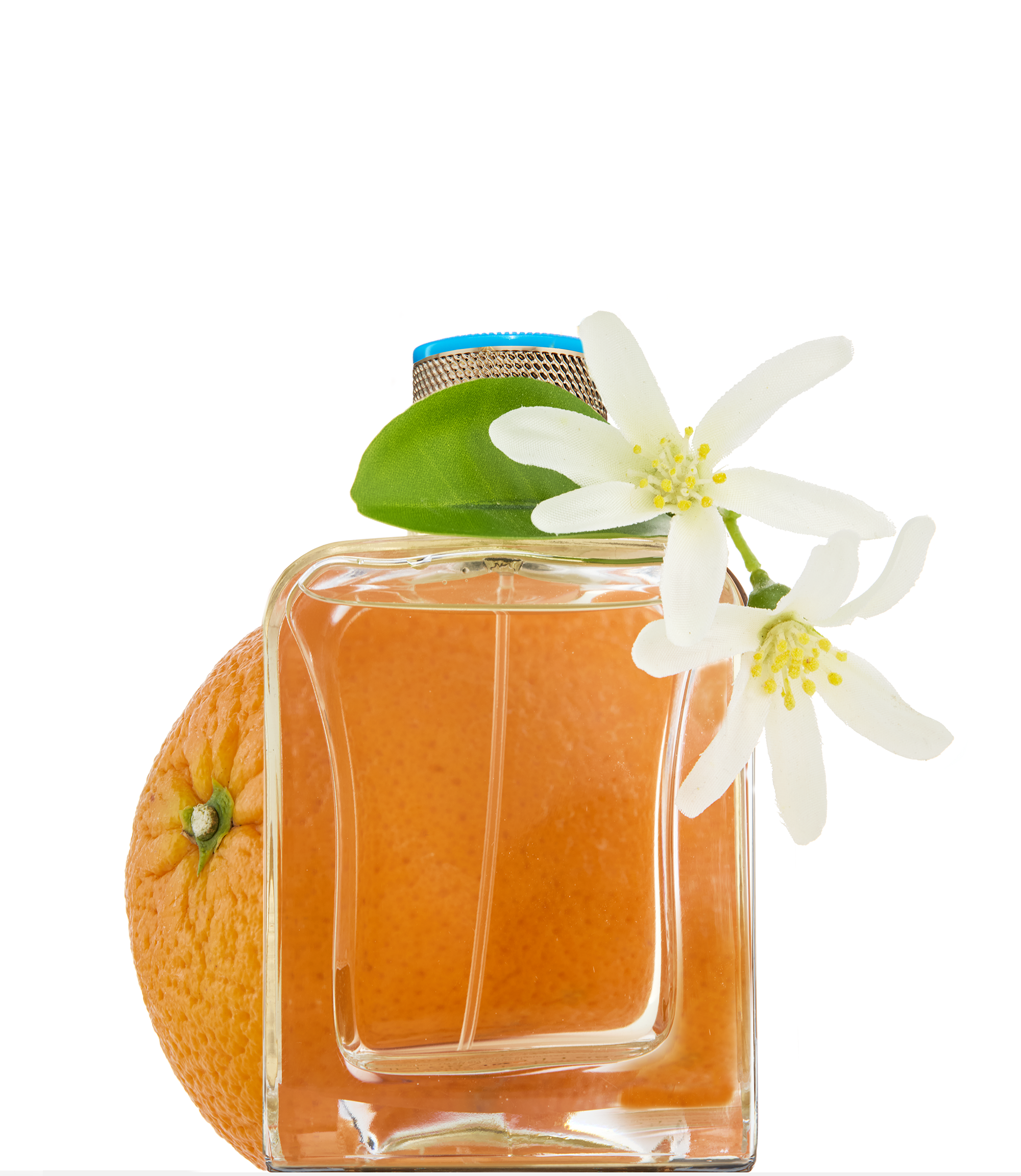 Parfumflakon von Veronique Gabai mit transparentem Inhalt, dekoriert mit frischer Orange, Orangenblüten, Orangenblatt und goldenem Verschluss auf weißem Hintergrund