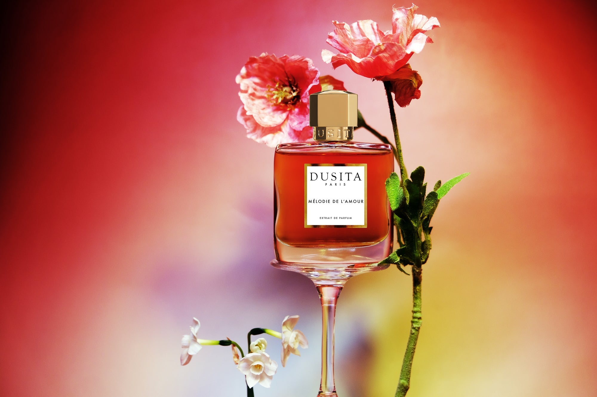 Parfumflakon Mélodie De L'amour von Dusita mit dunkler Flüssigkeit und goldenem Deckel auf Weinglas balanciert, umgeben von rosa Blüten vor rot-gelbem Hintergrund