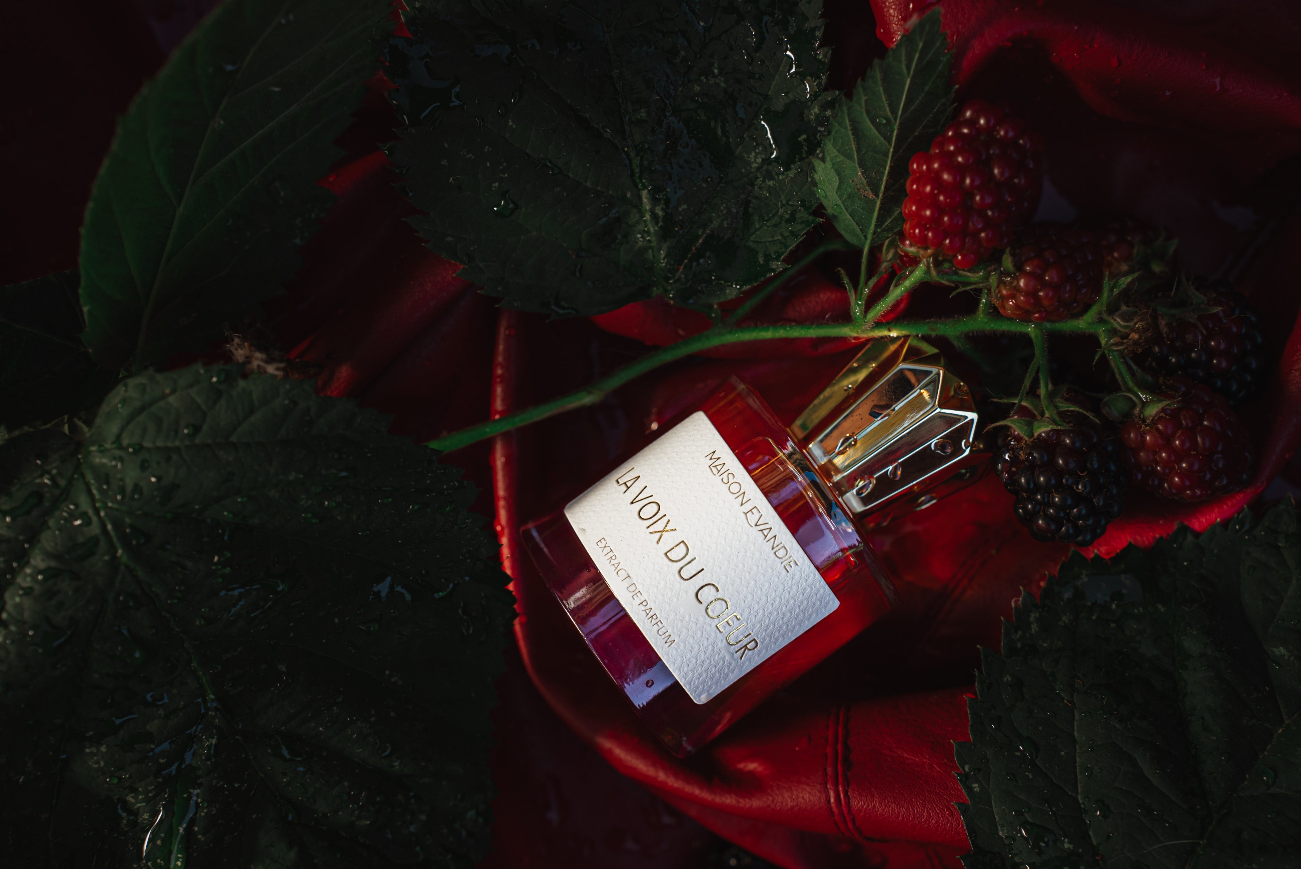 Parfumflakon La Voix Du Coeur von Maison Evandie mit rötlich erscheinender Flüssigkeit und facettiertem Deckel auf dunklen Blättern, Brombeeren und roten Blütenblättern