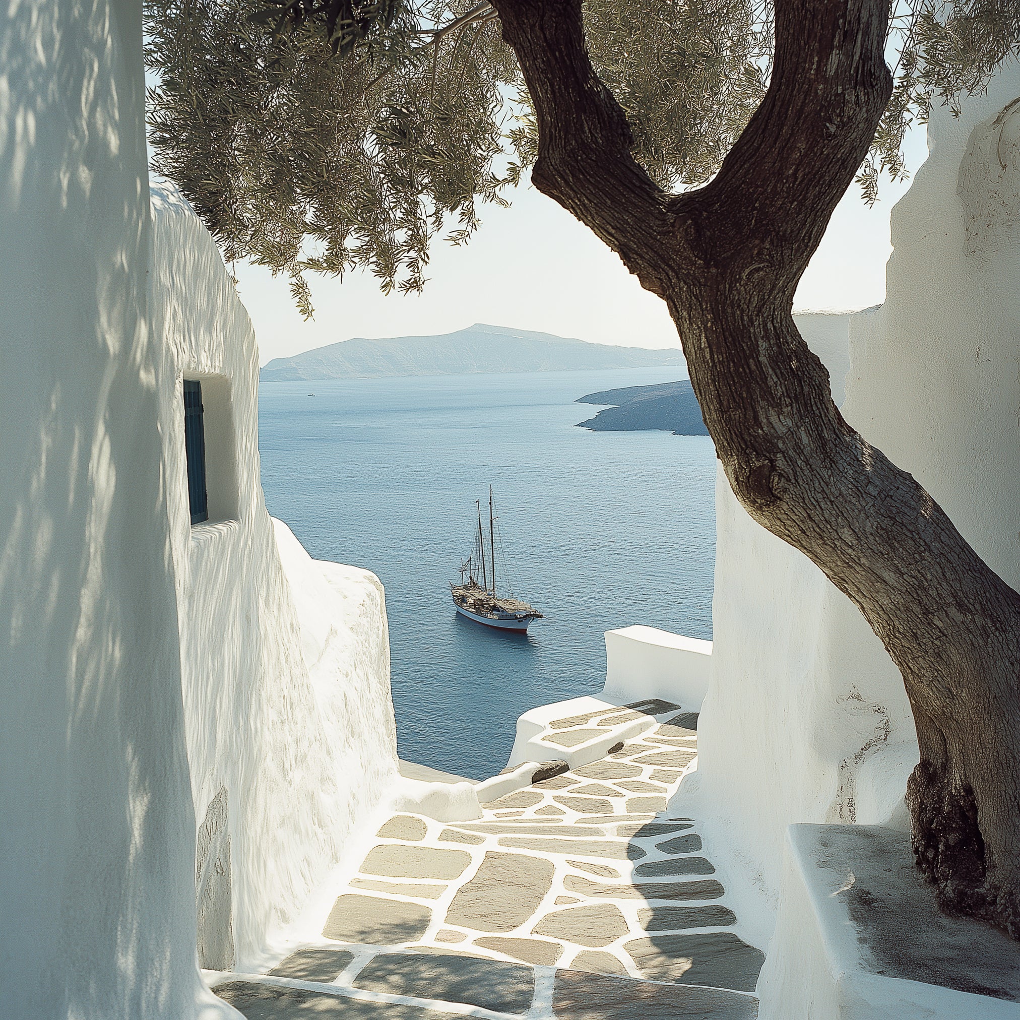 Blick durch weiß getünchte Häuser mit Olivenbaum auf die Caldera von Santorin mit Segelboot, typisch griechische Architektur